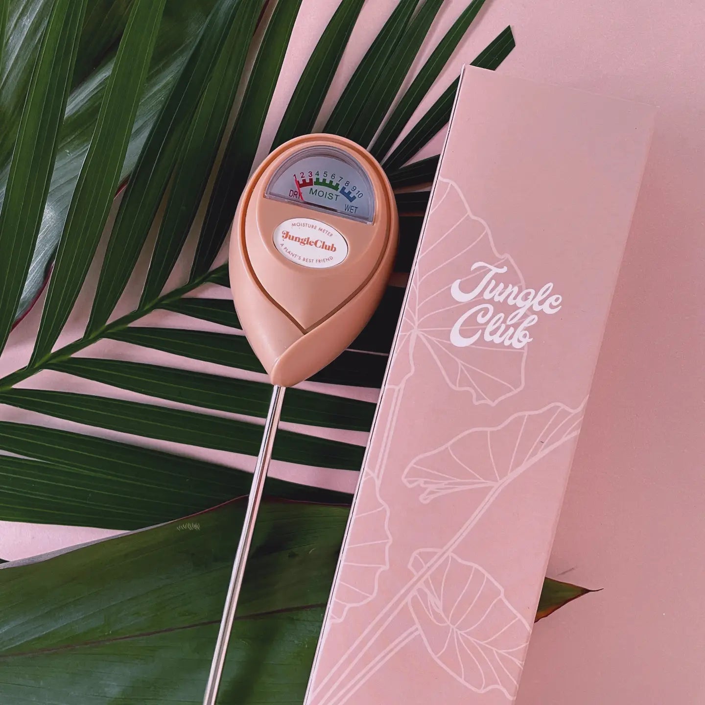 Moisture Meter | Pink