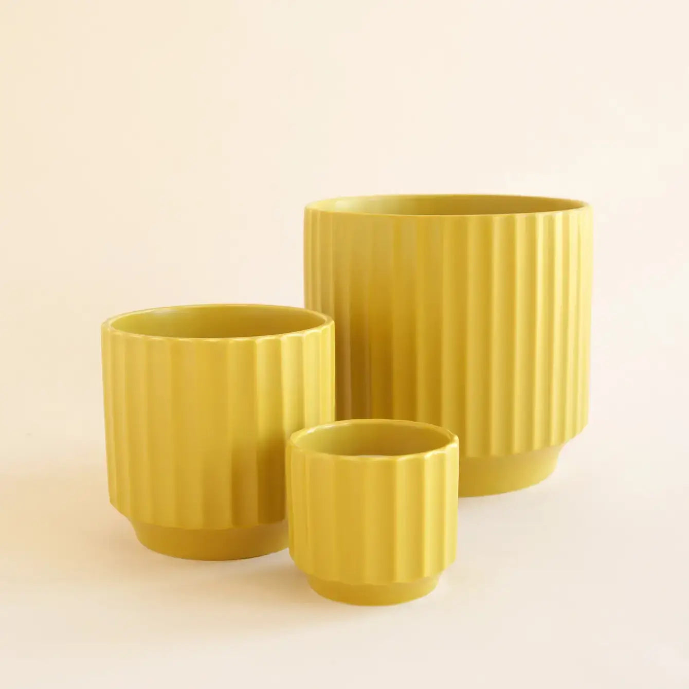 Monroe Pot | Palm- 4.5 inch