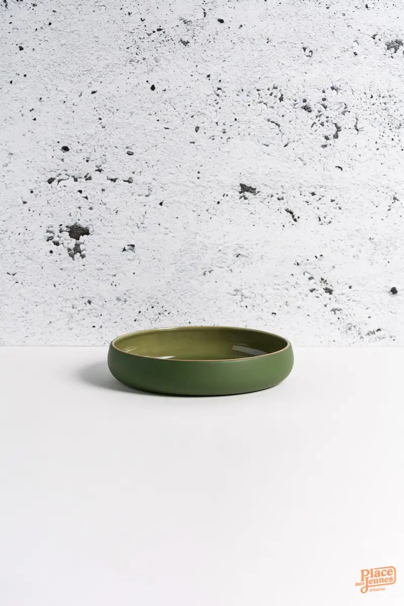 Stoneware Pasta Plate/Bowl - Matte/Glazed Green