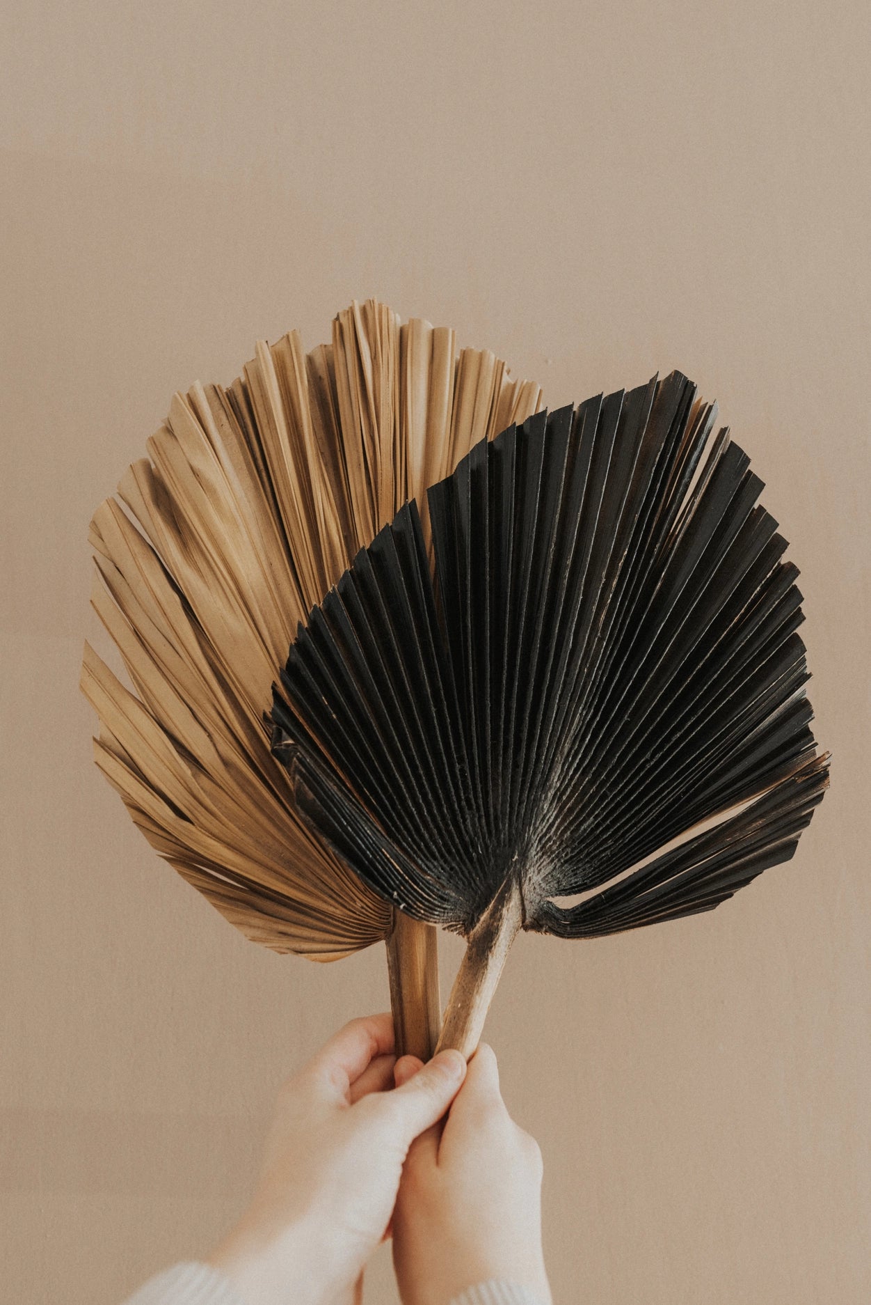 14" Dried Palm Leaf